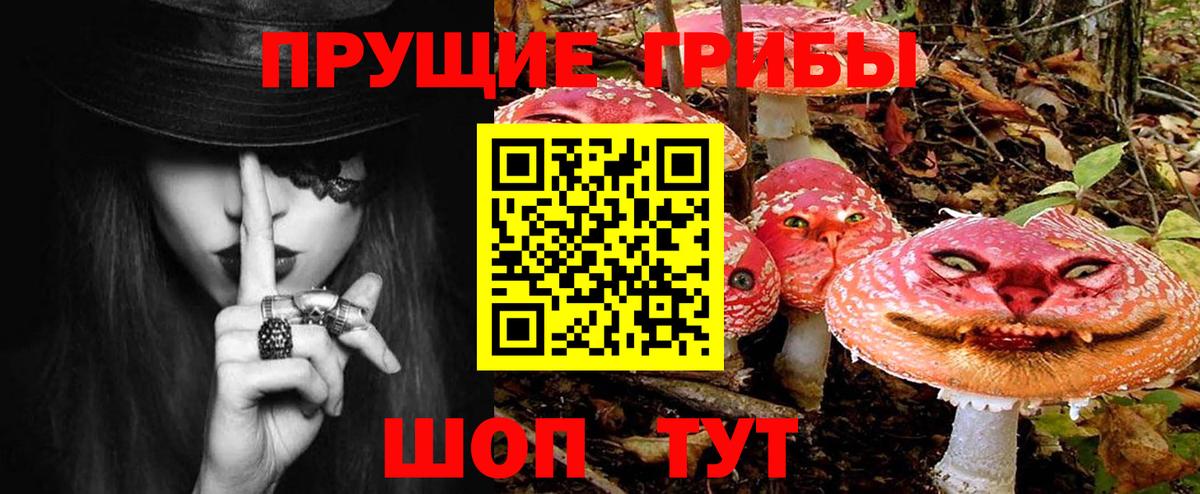 Псилоцибиновые грибы GOLDEN TEACHER  Вход с VPN  Псилоцибиновые грибы мухоморы  Мариинск 