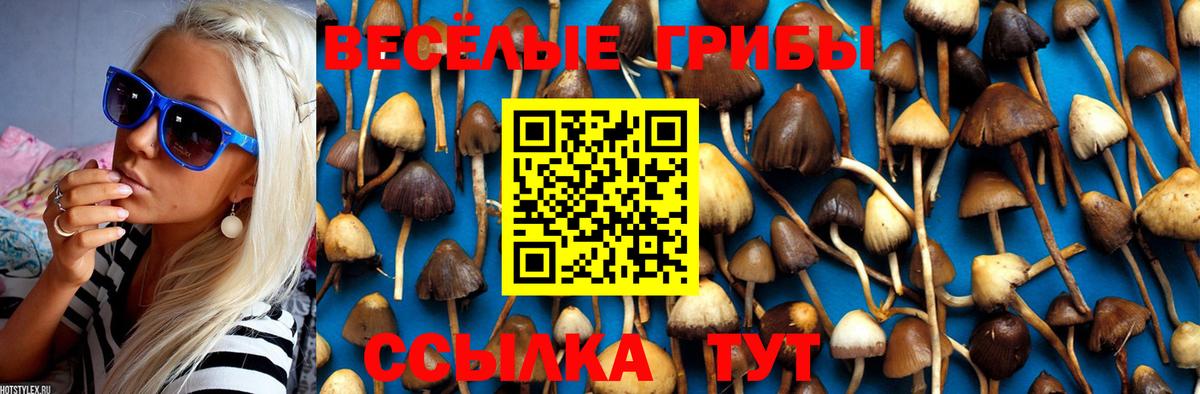 Галлюциногенные грибы Magic Shrooms Мариинск